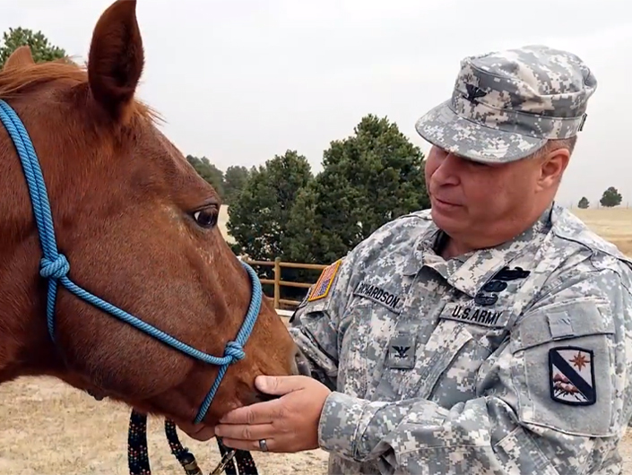 Healing Horses (1)